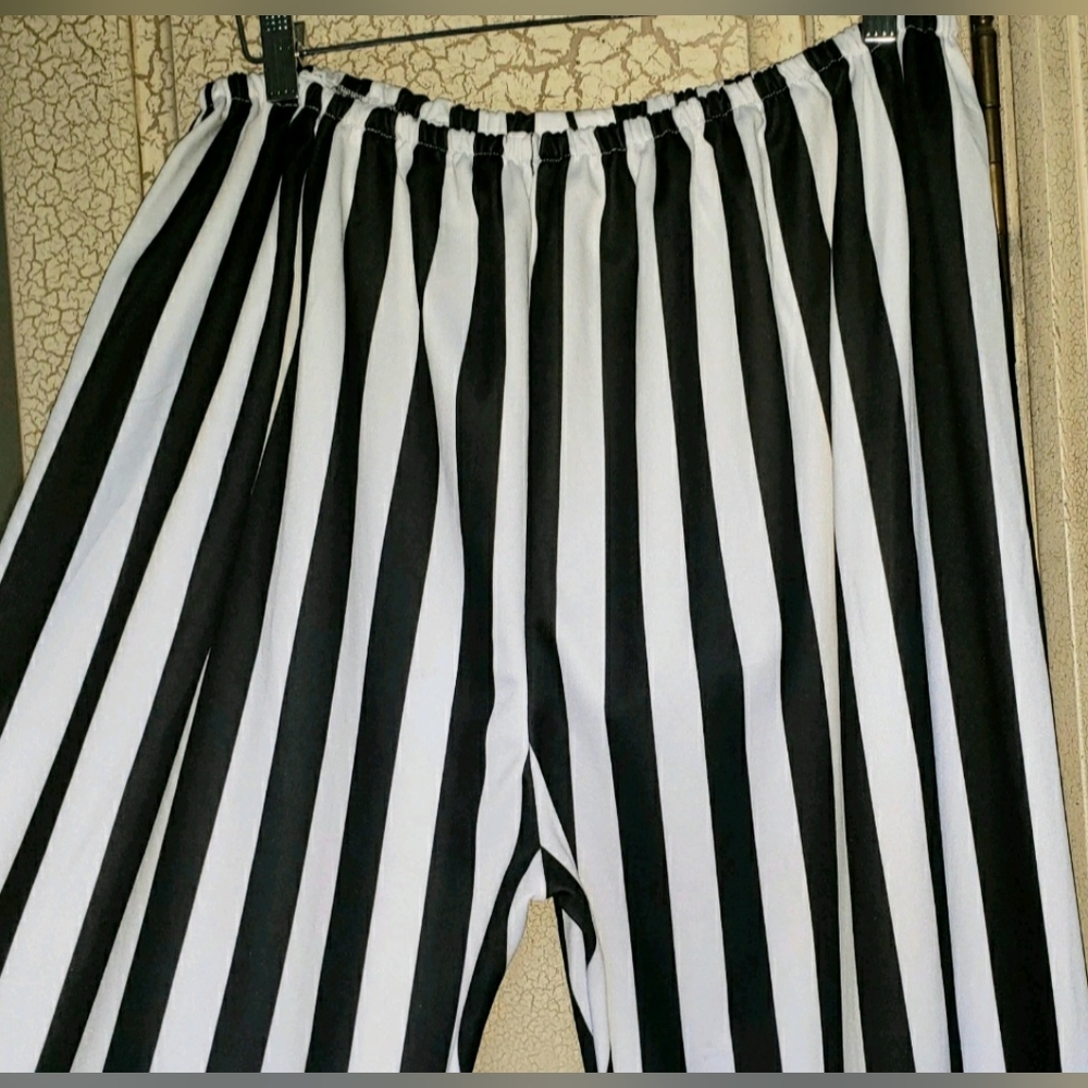 Make Offer! Halloween BEETLEJUICE Fits up to 2X Pants Black White Stripe Costume